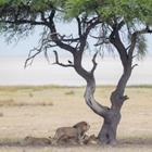 Christin Winter/Shutterstock.com