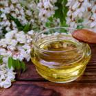 SakSa/Shutterstock.com