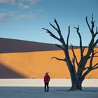 Zephyr_p/Shutterstock.com