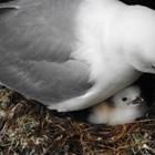 Macx247/Shutterstock.com