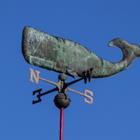 artmoods/Shutterstock.com