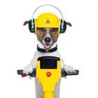 javier brosch/stock.adobe.com