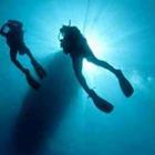 JonMilnes/stock.adobe.com