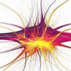 Jule_Berlin/stock.adobe.com