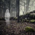 Vitalez/stock.adobe.com