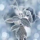 Vera Kuttelvaserova/stock.adobe.com