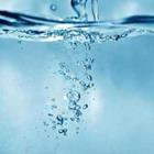 magann/stock.adobe.com