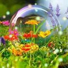 Stefan Körber/stock.adobe.com