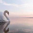 TSpider/stock.adobe.com