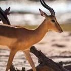 edan/stock.adobe.com