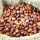 vizafoto/stock.adobe.com