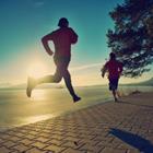 rdonar/Shutterstock.com