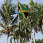 Cris D/Shutterstock.com