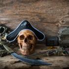 Popksr Studio/Shutterstock.com