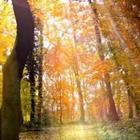 Stefan Körber/stock.adobe.com