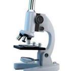 Sashkin/stock.adobe.com