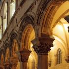 Dmitry.Photo/Shutterstock.com