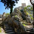 Alexandre G. ROSA/Shutterstock.com