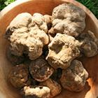 Albert Donsky/Shutterstock.com