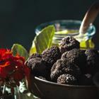 Jakub Kyncl/Shutterstock.com