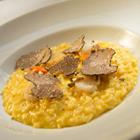 canvaspix/Shutterstock.com