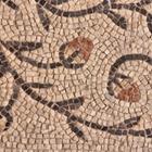 Pshenichka/Shutterstock.com