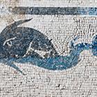 Stjepan Tafra/Shutterstock.com