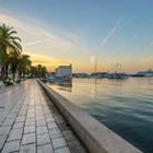 Pajor Pawel/Shutterstock.com