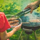 Anze Furlan/Shutterstock.com