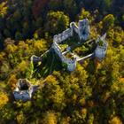 Ilija Ascic/Shutterstock.com