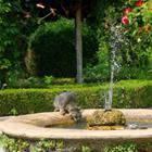 Jelena990/Shutterstock.com