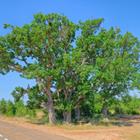 OPIS Zagreb/Shutterstock.com