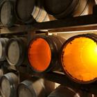 Mato Papic/Shutterstock.com