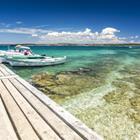 moreimages/Shutterstock.com