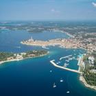 Nkrle/Shutterstock.com