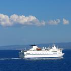 atanasija1/Shutterstock.com