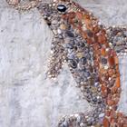 ninopavisic/Shutterstock.com