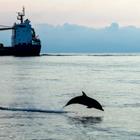 Andrea Izzotti/Shutterstock.com