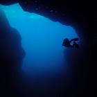 Alex NITZ/Shutterstock.com