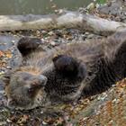 Alexandr Junek Imaging/Shutterstock.com