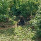 LucasGranger/Shutterstock.com