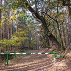 Fotokon/stock.adobe.com