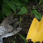 Martina Berg/stock.adobe.com