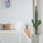 Photographee.eu/stock.adobe.com