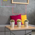 Photographee.eu/stock.adobe.com