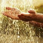 Siegi/stock.adobe.com