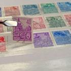 M. Schuppich/stock.adobe.com