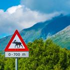 LouieLea/Shutterstock.com