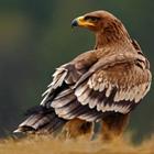 Ondrej Prosicky/Shutterstock.com