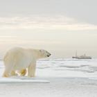 Ondrej Prosicky/Shutterstock.com